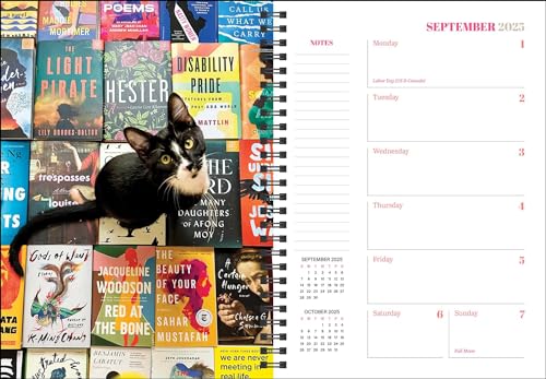Cats & Books 12Month 2025 Planner Calendar,Used