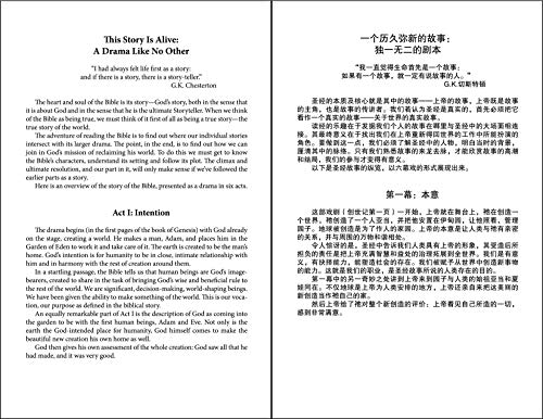 Cuv (Simplified Script), Niv, Chinese/English Bilingual Bible, Paperback, Red/Black (Chinese Edition)