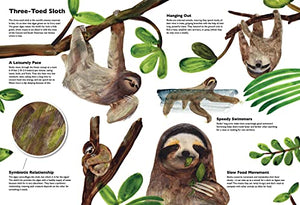 Masters Of Disguise: Camouflaging Creatures & Magnificent Mimics