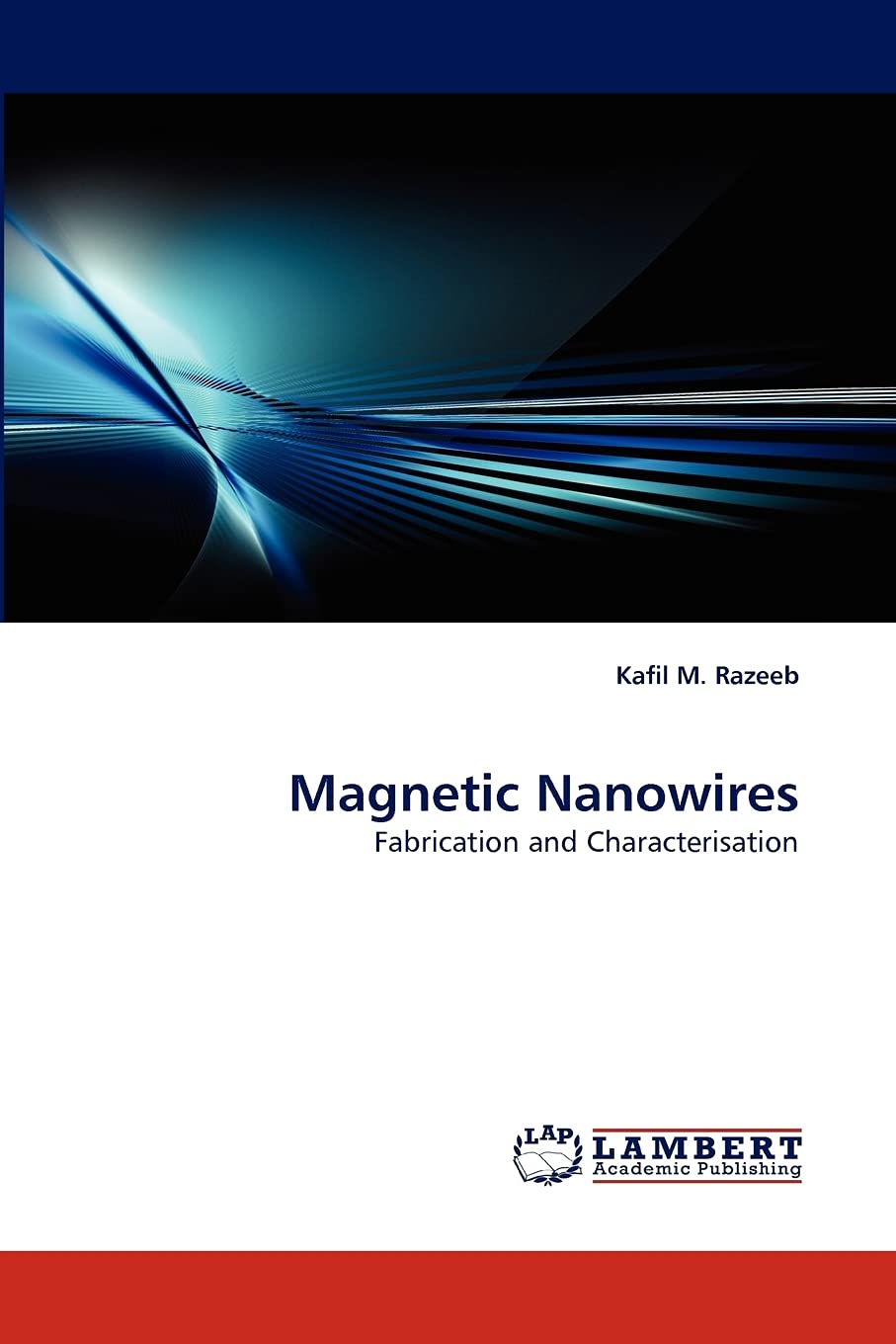 Magnetic Nanowires: Fabrication and Characterisation,Used