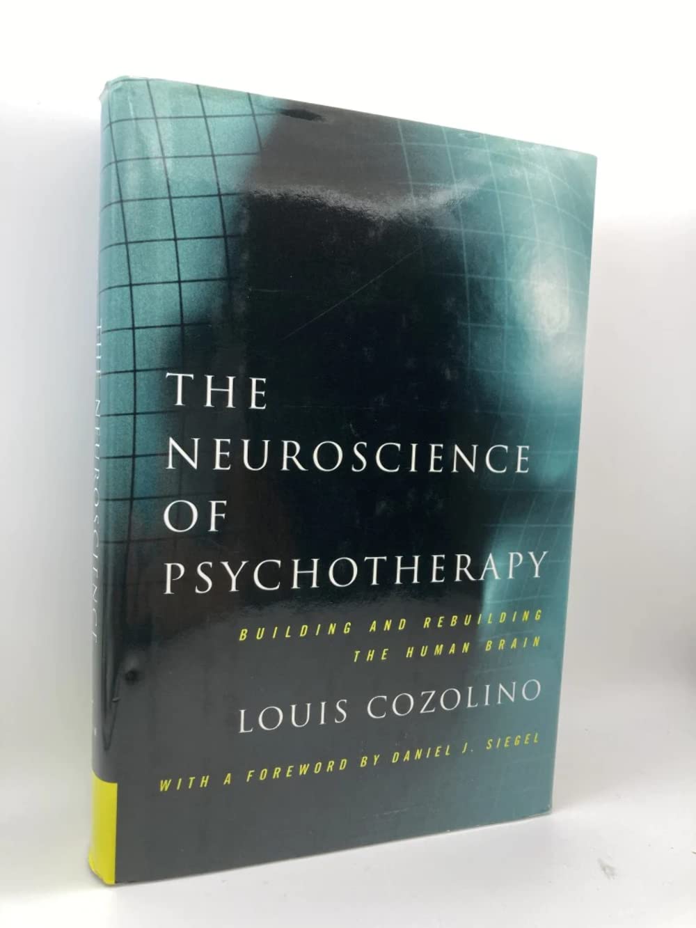 The Neuroscience of Psychotherapy: Building and Rebuilding the Human Brain (Norton Series on Interpersonal Neurobiology),Used
