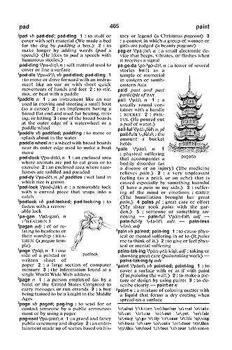MerriamWebsters Dictionary of Basic English,Used
