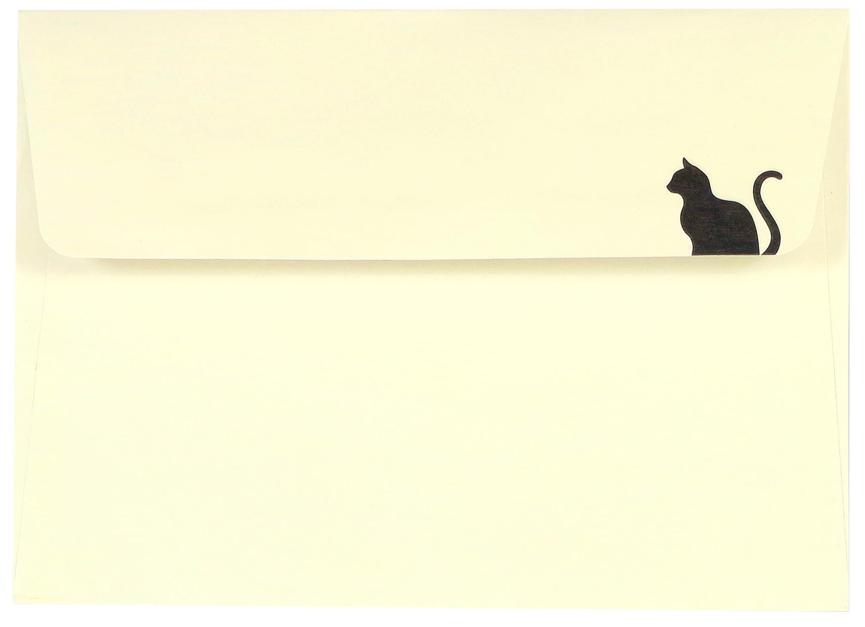 Black Cat Note Cards (Stationery, Boxed Cards),Used