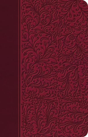 Biblia Clsica Edicin Especial: Rubi (Spanish Edition),New