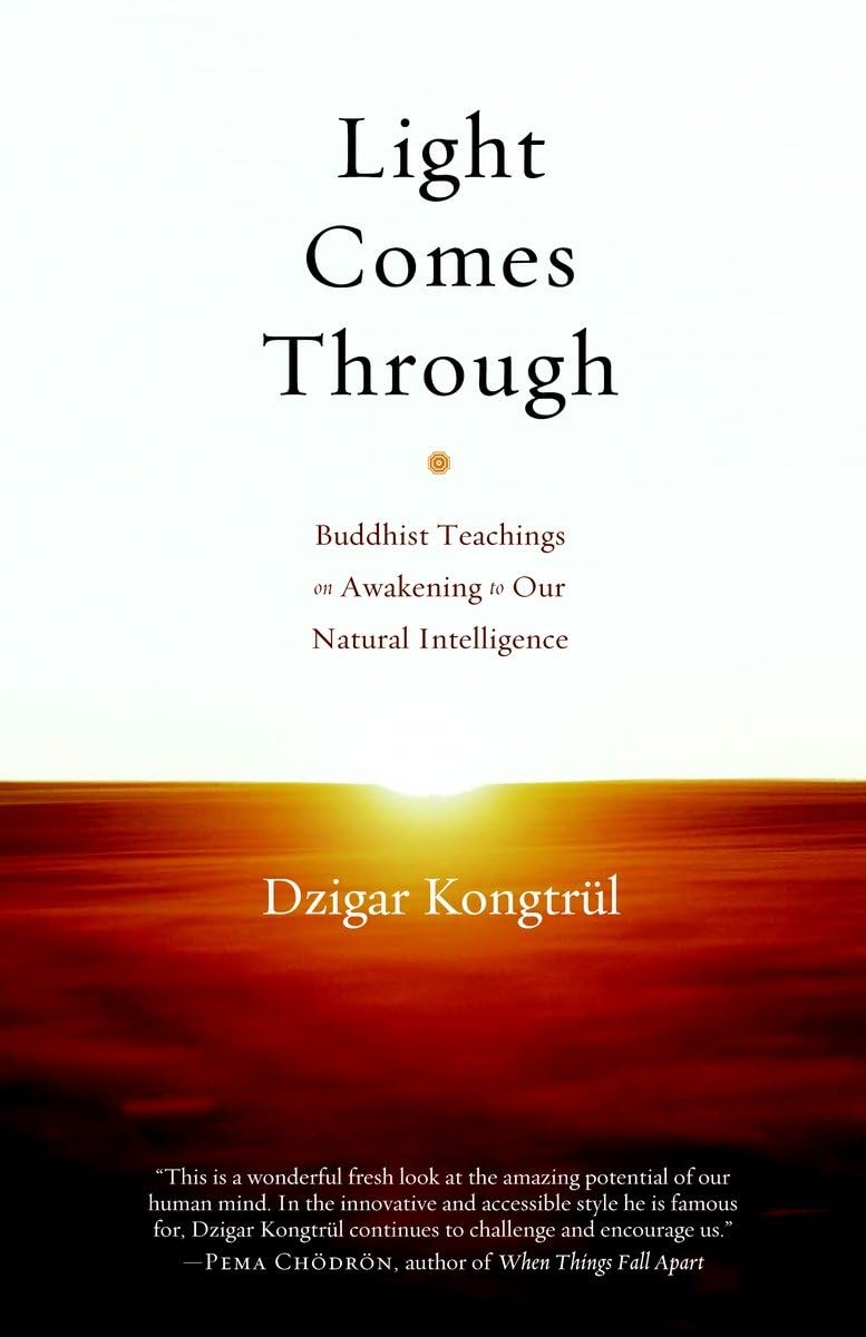 Light Comes Through: Buddhist Teachings On Awakening To Our Natural Intelligence