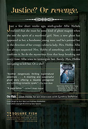 The Ghost and Mrs. Hobbs (Ghost Mysteries, 2),Used