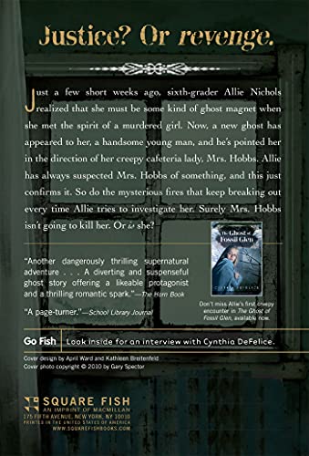 The Ghost and Mrs. Hobbs (Ghost Mysteries, 2),Used