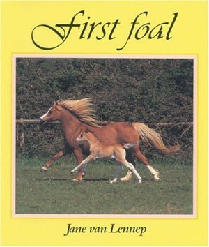 First Foal,Used