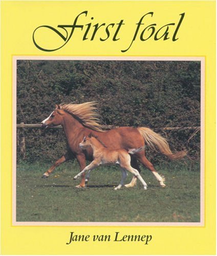 First Foal,Used