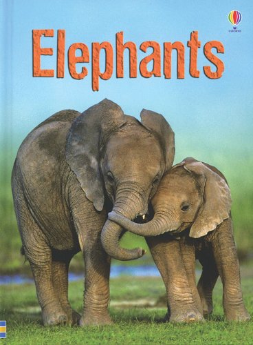 Elephants (Usborne Beginners),Used