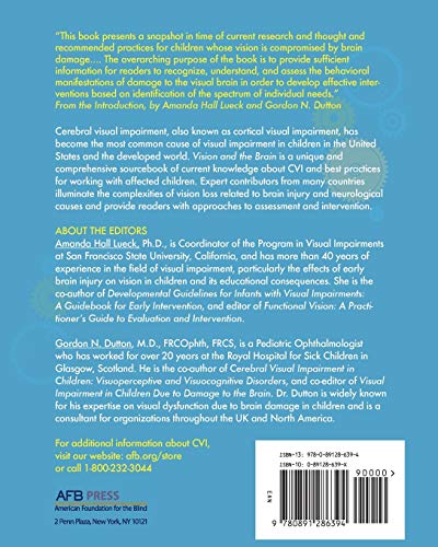 Vision and the Brain: Understanding Cerebral Visual Impairment in Children,Used