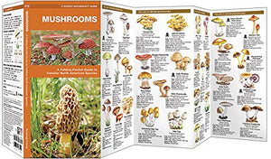 Mushrooms: A Folding Pocket Guide to Familiar North American Species (Nature Observation North America),Used