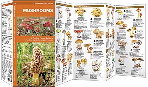 Mushrooms: A Folding Pocket Guide to Familiar North American Species (Nature Observation North America),Used