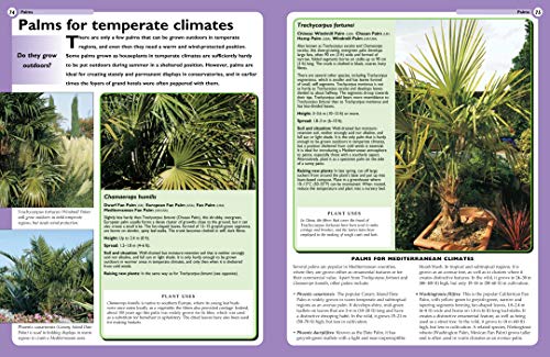The Bamboo, Grass & Palm Specialist: The Essential Guide to Selecting, Growing and Propagating Bamboos, Grasses and Palms (Speci,Used