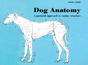 Dog Anatomy: A Pictorial Approach To Canine Structure