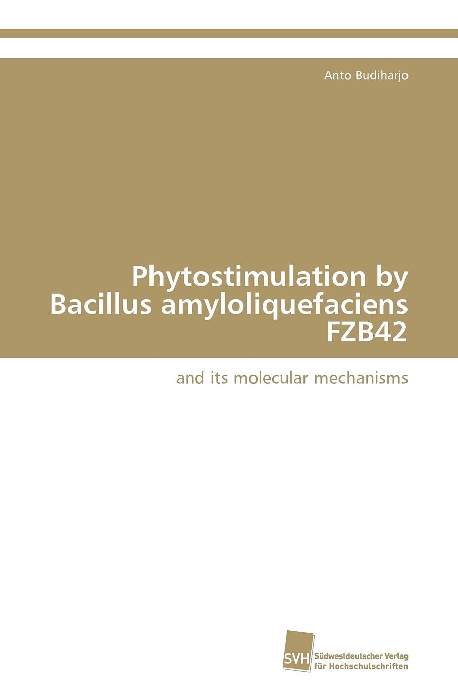 Phytostimulation by Bacillus amyloliquefaciens FZB42: and its molecular mechanisms,Used