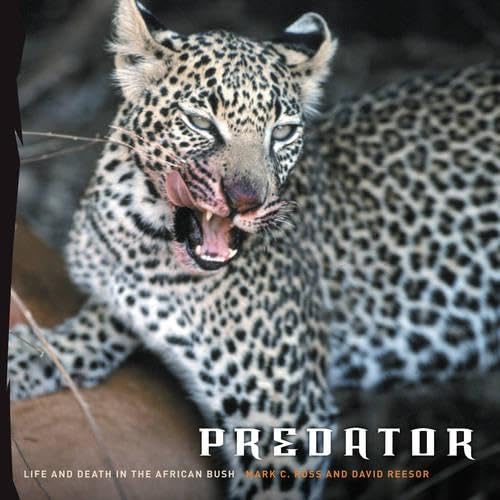 Predator: Life and Death in the African Bush,Used