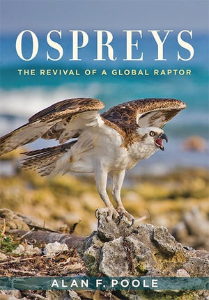 Ospreys: The Revival of a Global Raptor,Used
