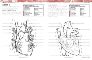 The Human Body Coloring Book: The Ultimate Anatomy Study Guide (Dk Human Body Guides),New