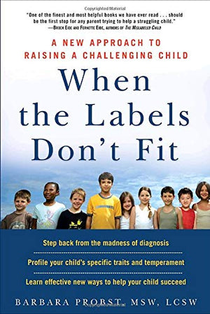 When the Labels Don't Fit: A New Approach to Raising a Challenging Child,Used
