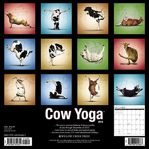 Cow Yoga 2018 Calendar,Used