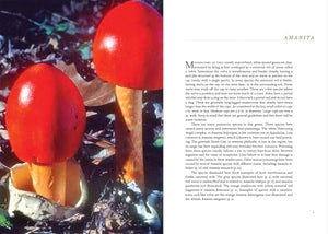 Appalachian Mushrooms: A Field Guide,New