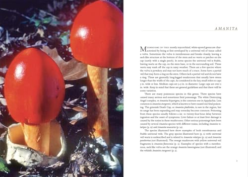 Appalachian Mushrooms: A Field Guide,New