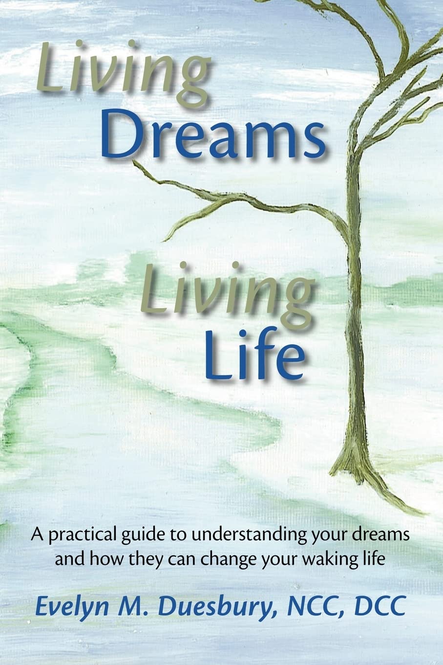 Living Dreams, Living Life: A Practical Guide To Understanding Your Dreams And How They Can Change Your Waking Life,Used