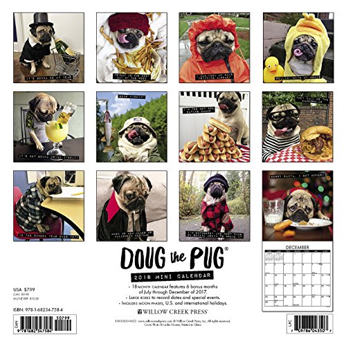 Doug the Pug 2018 Mini Wall Calendar,Used