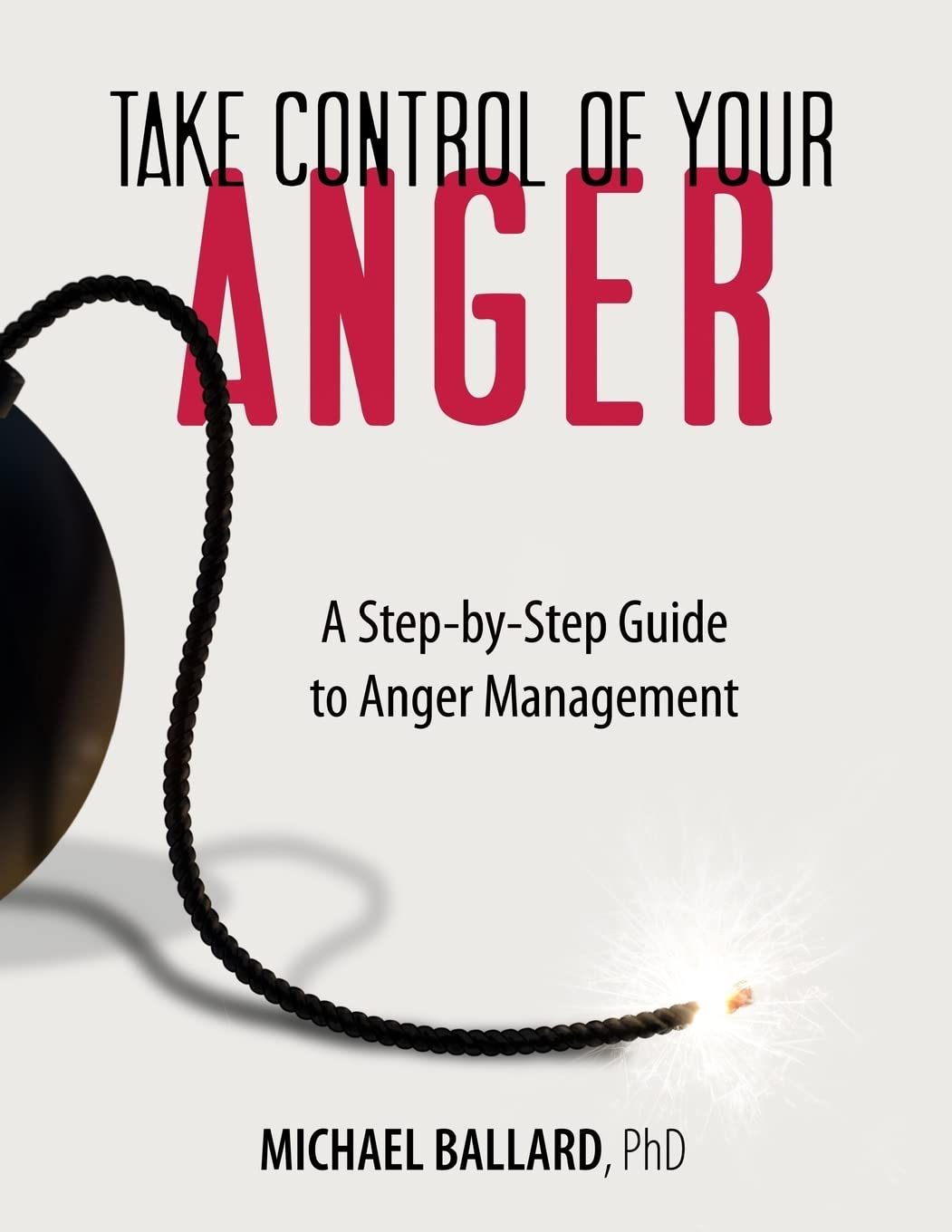 Take Control of Your Anger: A StepbyStep Guide to Anger Management,Used