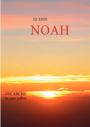 Noah: Die Arche in uns selbst (German Edition),Used
