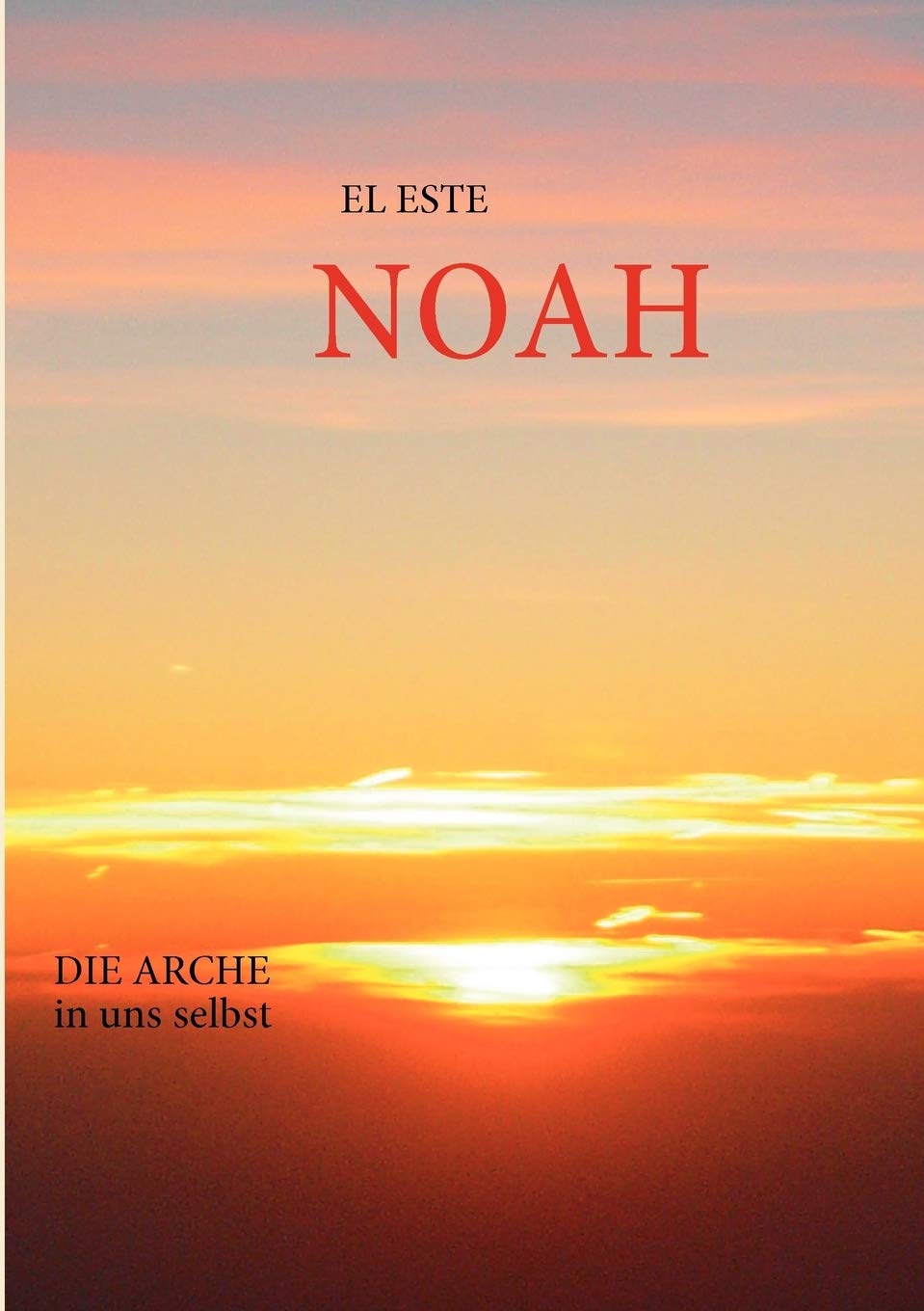 Noah: Die Arche in uns selbst (German Edition),Used