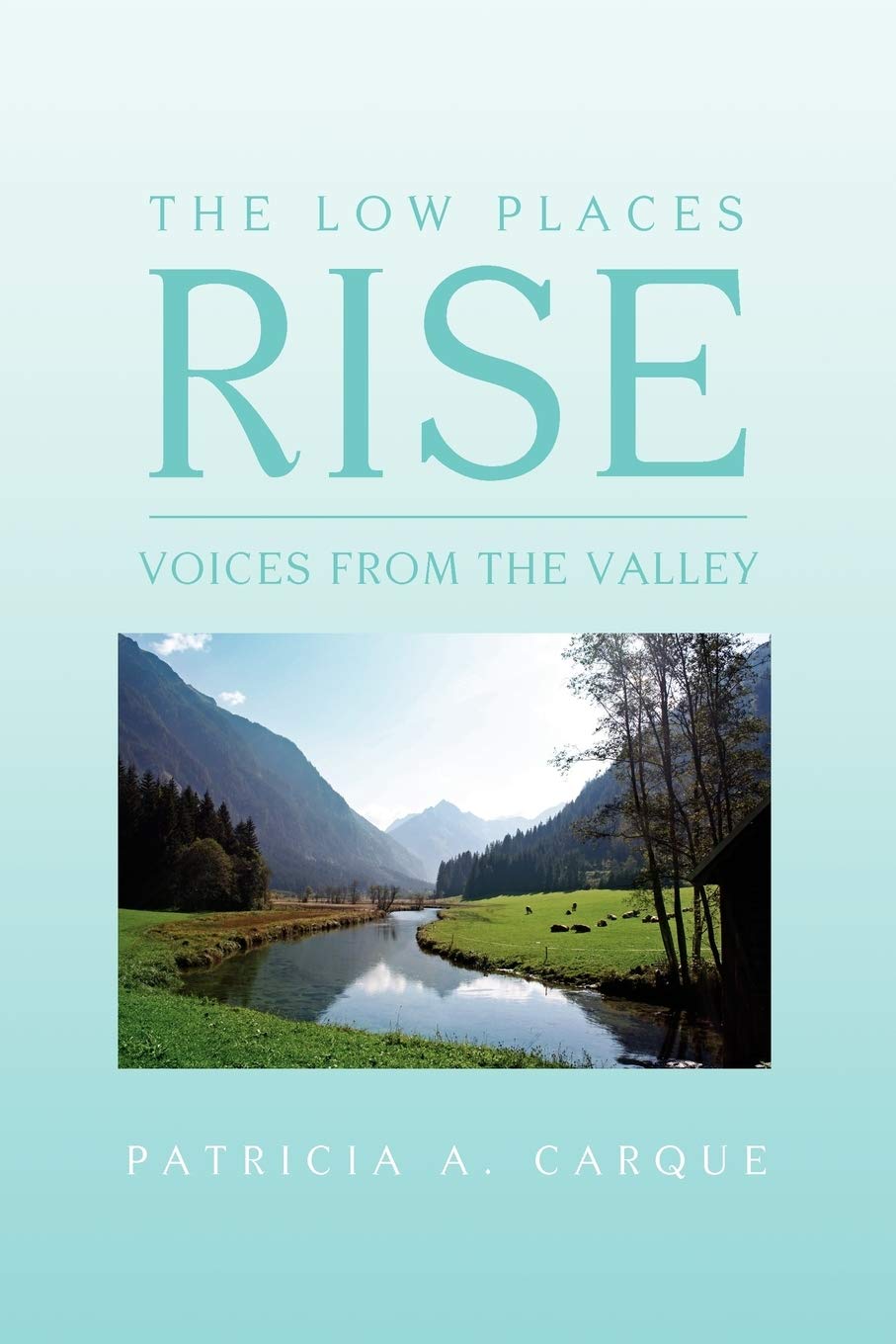 The Low Places Rise: Voices From The Valley,Used