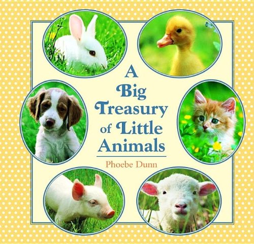 Big Treasury of Little Animals,Used