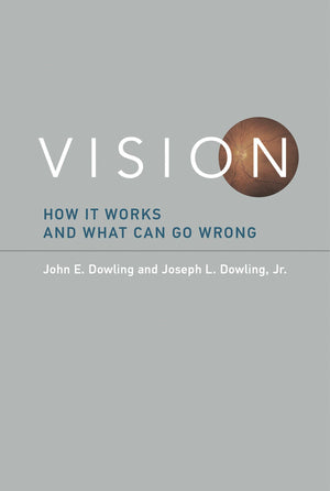 Vision: How It Works And What Can Go Wrong (Mit Press)