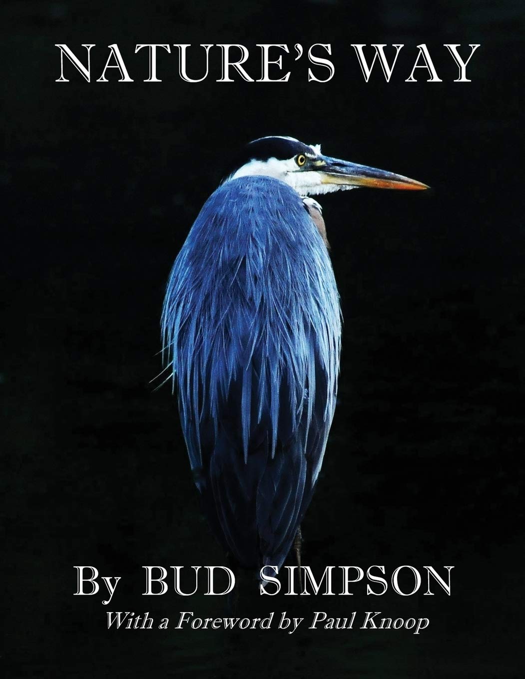 Nature's Way: The Great Blue Heron,Used