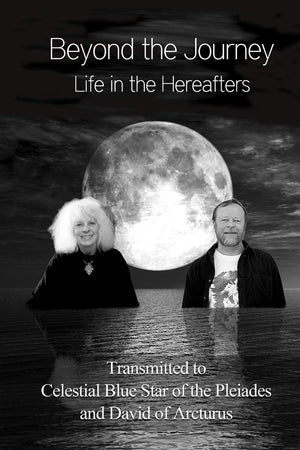 Beyond The Journey  Life In The Hereafters (The God Book Series),Used