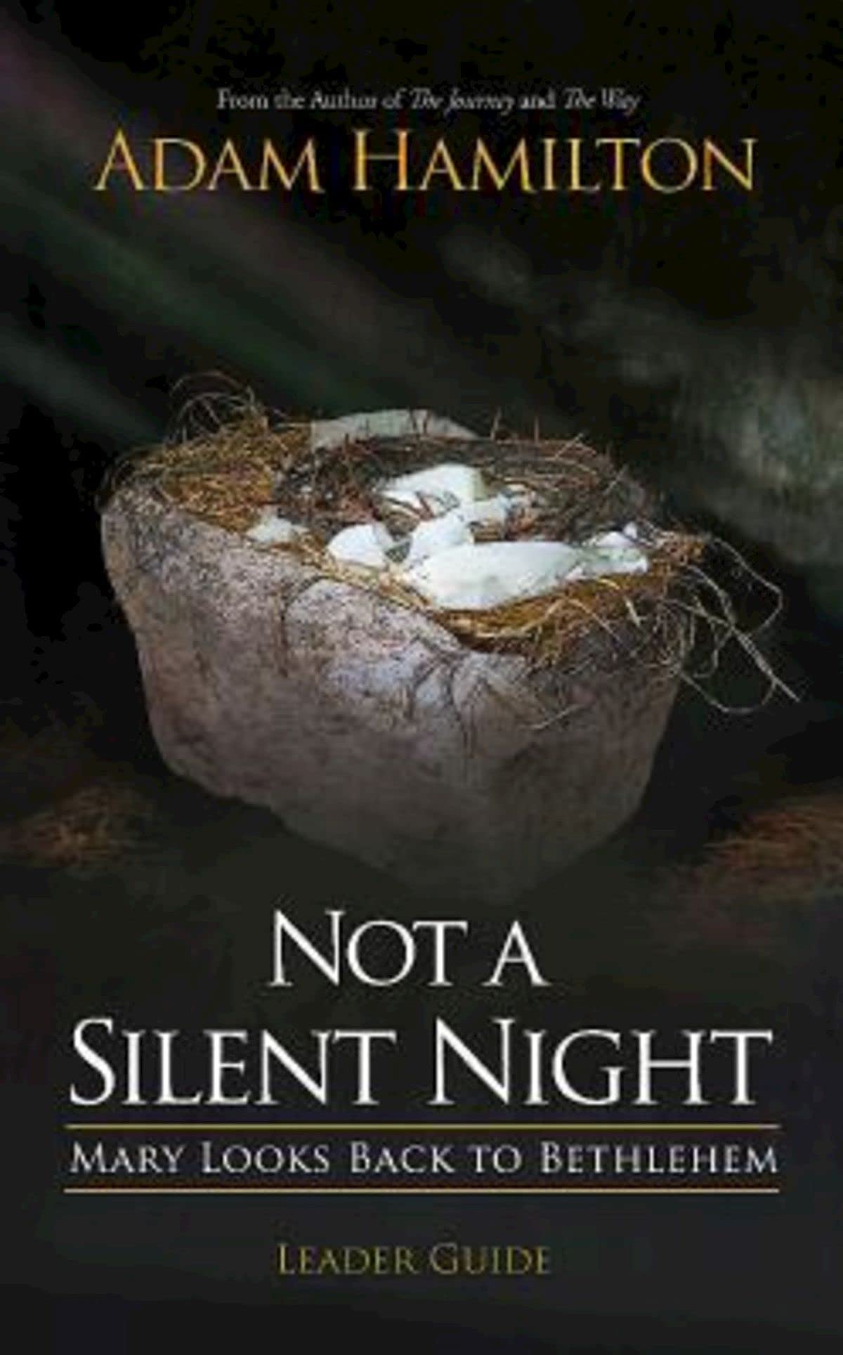 Not a Silent Night Leader Guide: Mary Looks Back to Bethlehem (Not a Silent Night Advent),Used