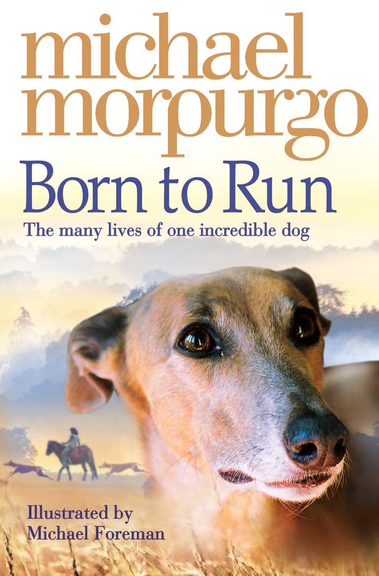 Born to Run,Used