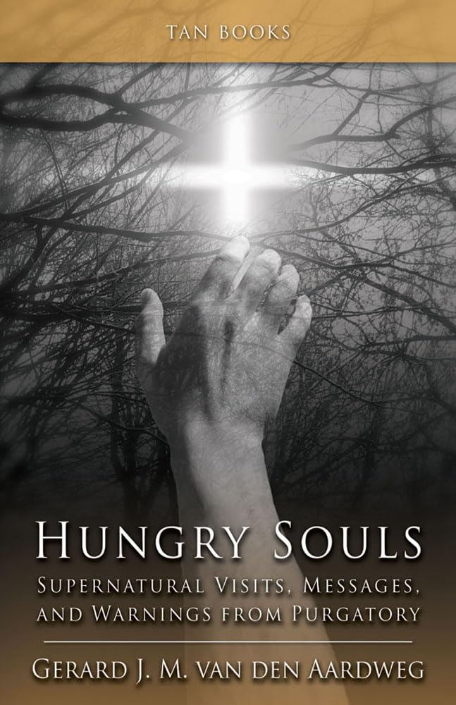 Hungry Souls: Supernatural Visits, Messages, and Warnings from Purgatory,Used