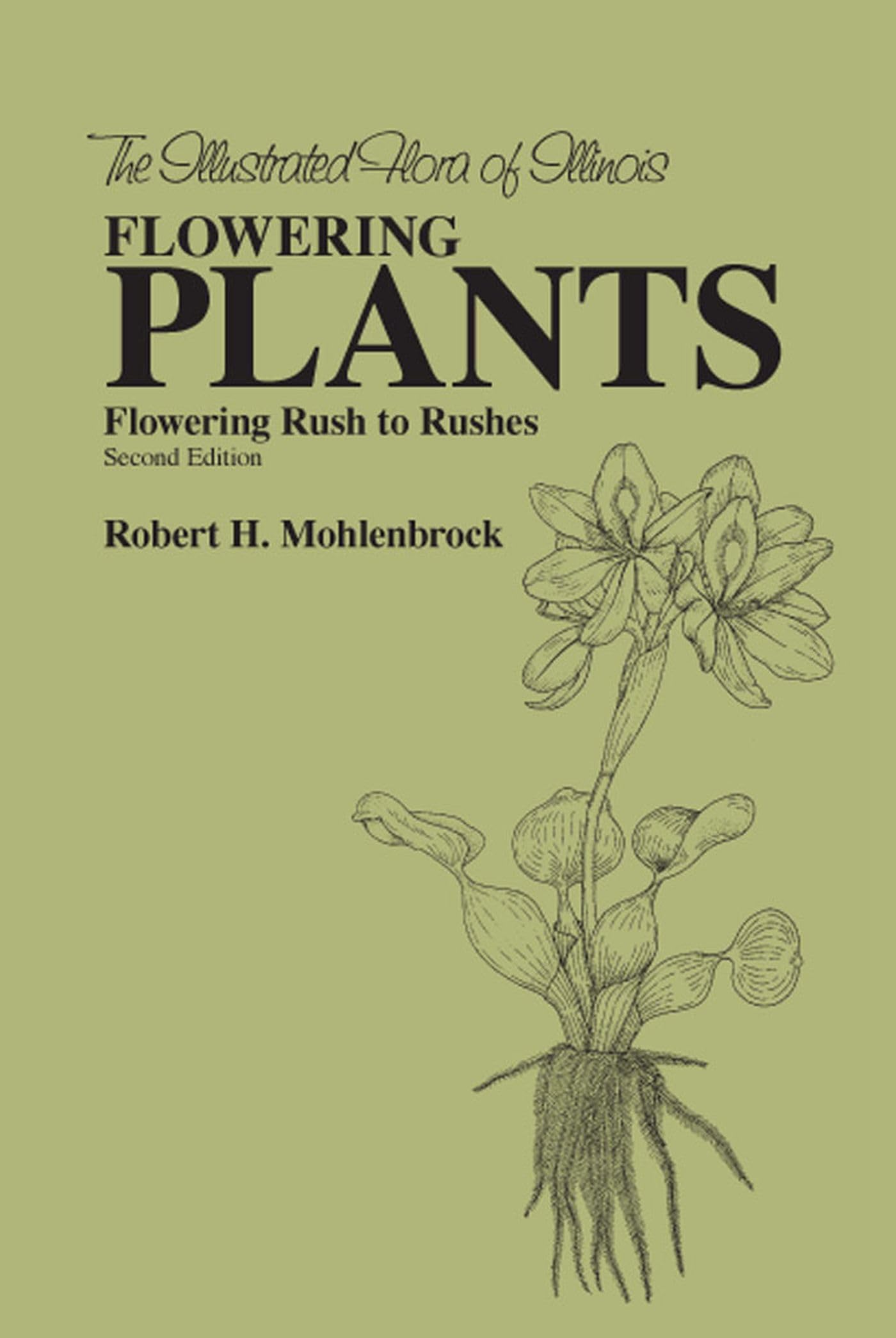 The Flowering Plants: Flowering Rush To Rushes: Flowering Rush To Rushes (The Illustrated Flora Of Illinois),Used