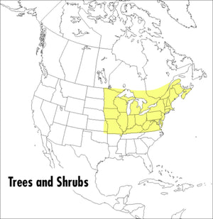 A Peterson Field Guide To Trees And Shrubs: Northeastern and northcentral United States and southeastern and southcentralCanad,New