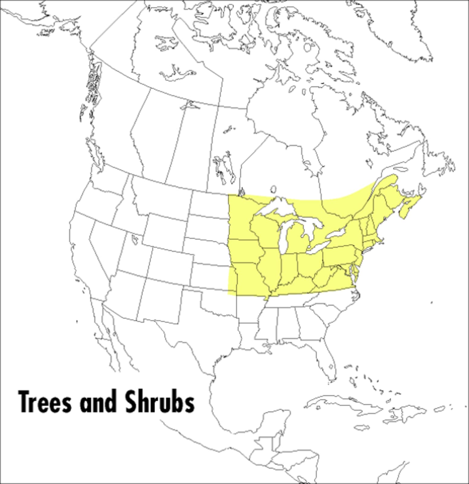 A Peterson Field Guide To Trees And Shrubs: Northeastern and northcentral United States and southeastern and southcentralCanad,Used