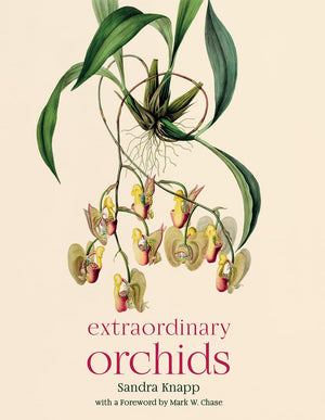 Extraordinary Orchids,Used