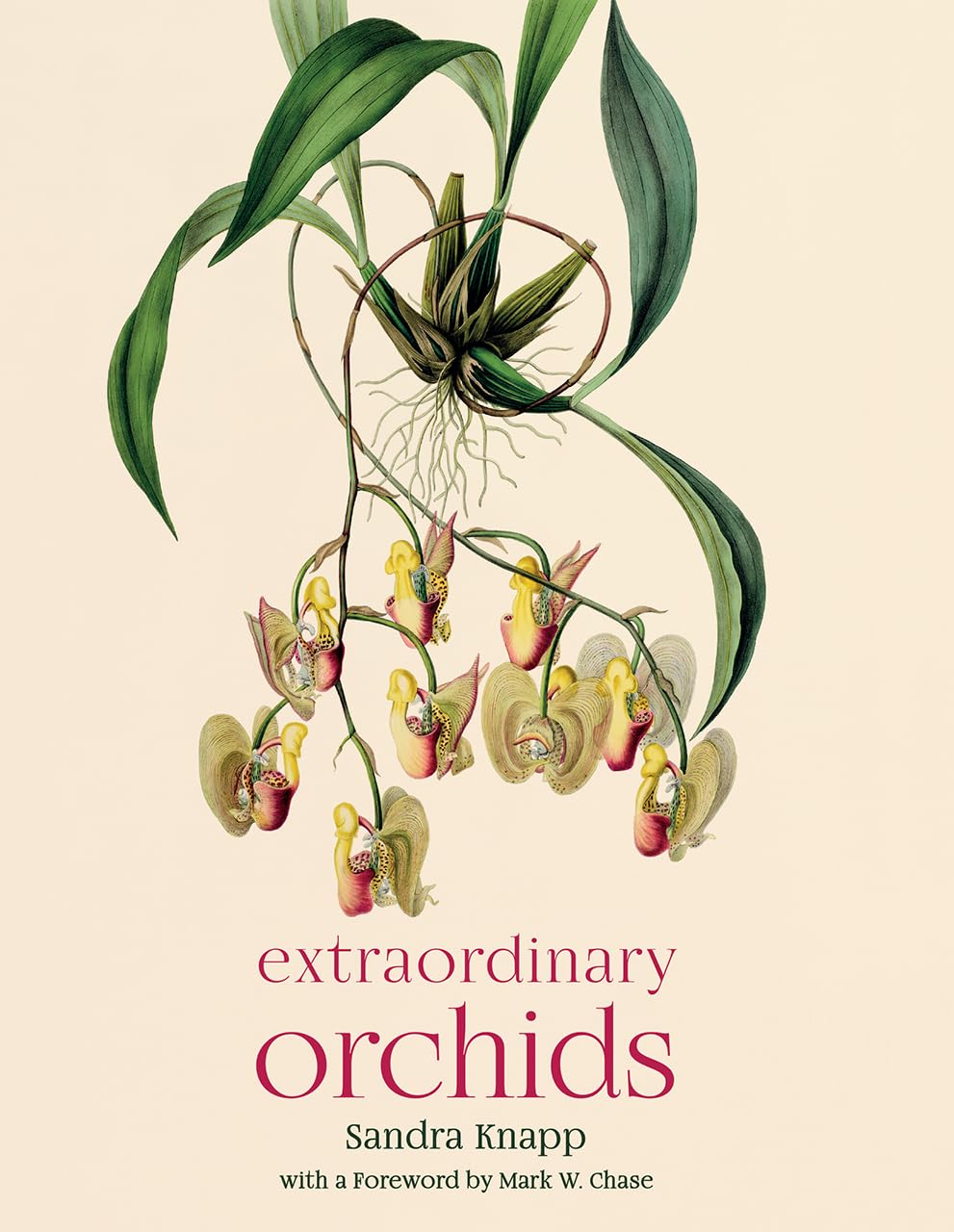 Extraordinary Orchids,Used