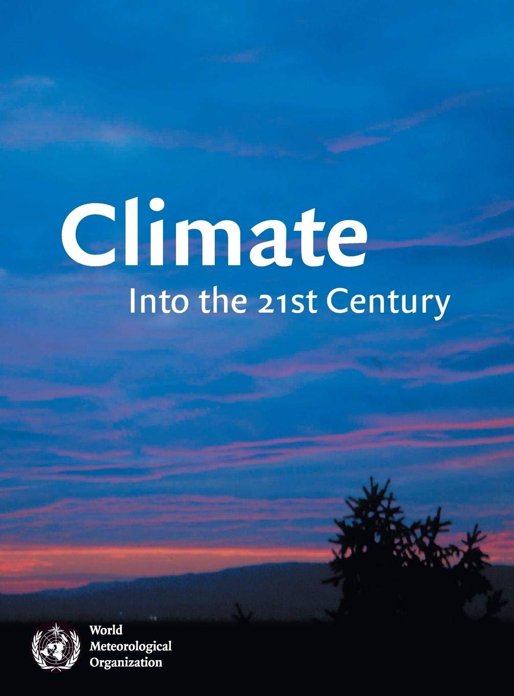 Climate: Into the 21st Century,New