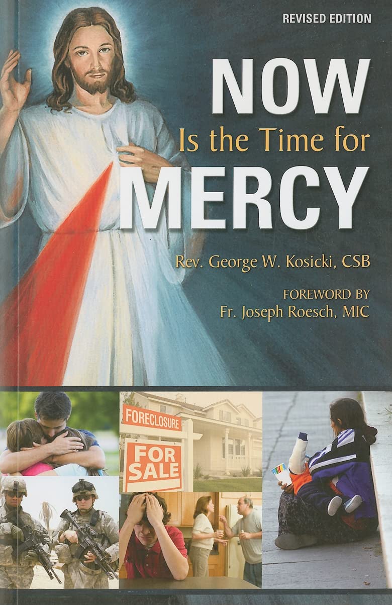 Now Is the Time for Mercy,Used