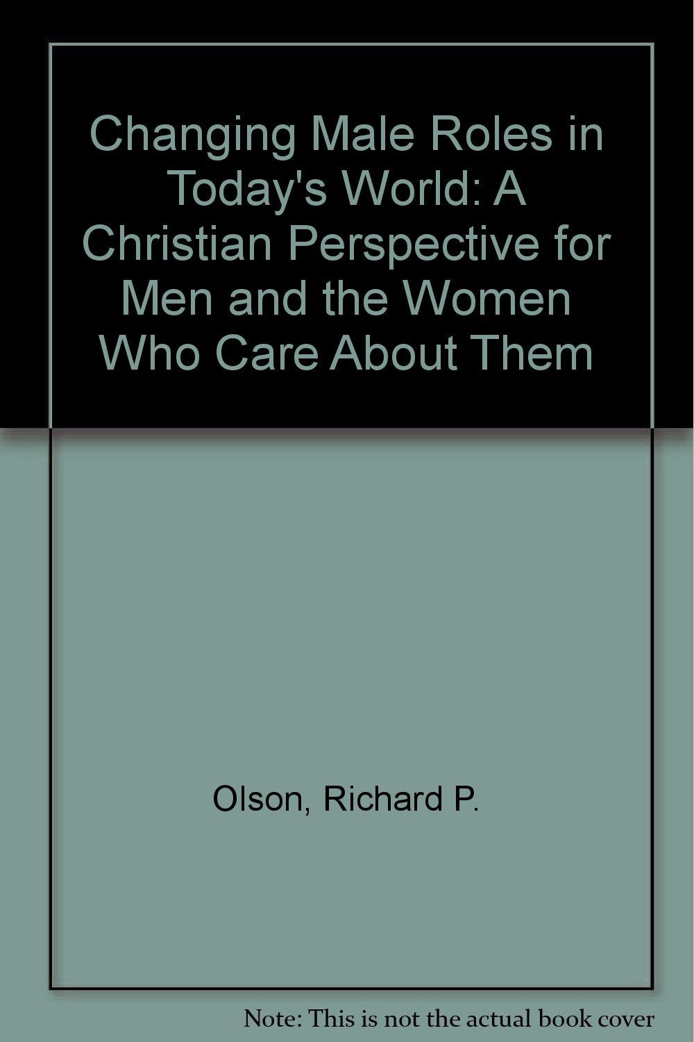 Changing Male Roles in Today's World: A Christian Perspective for Men and the Women Who Care About Them,Used