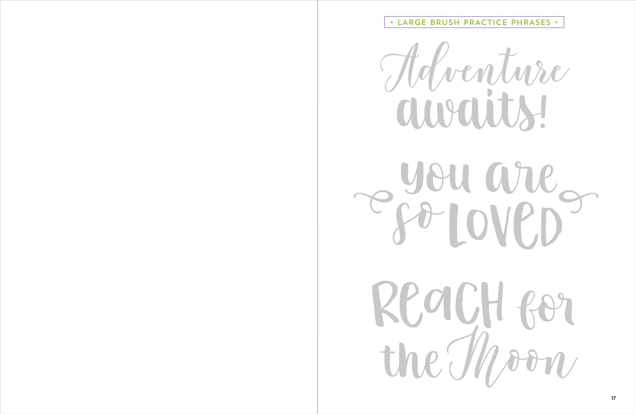 Brush Lettering Workbook,Used