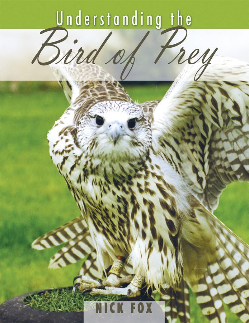 Understanding the Bird of Prey,Used